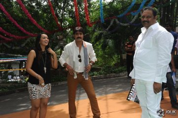 Jalsa Rayudu Movie Opening